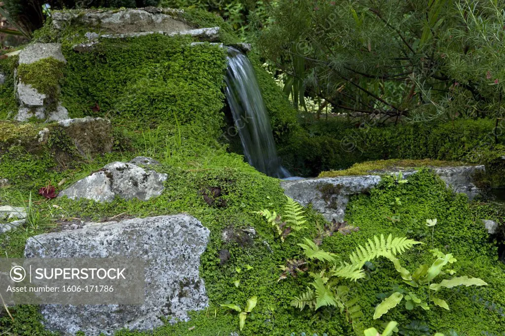 U.K, Dorset, Compton Acres Gardens waterfall and  Helxine