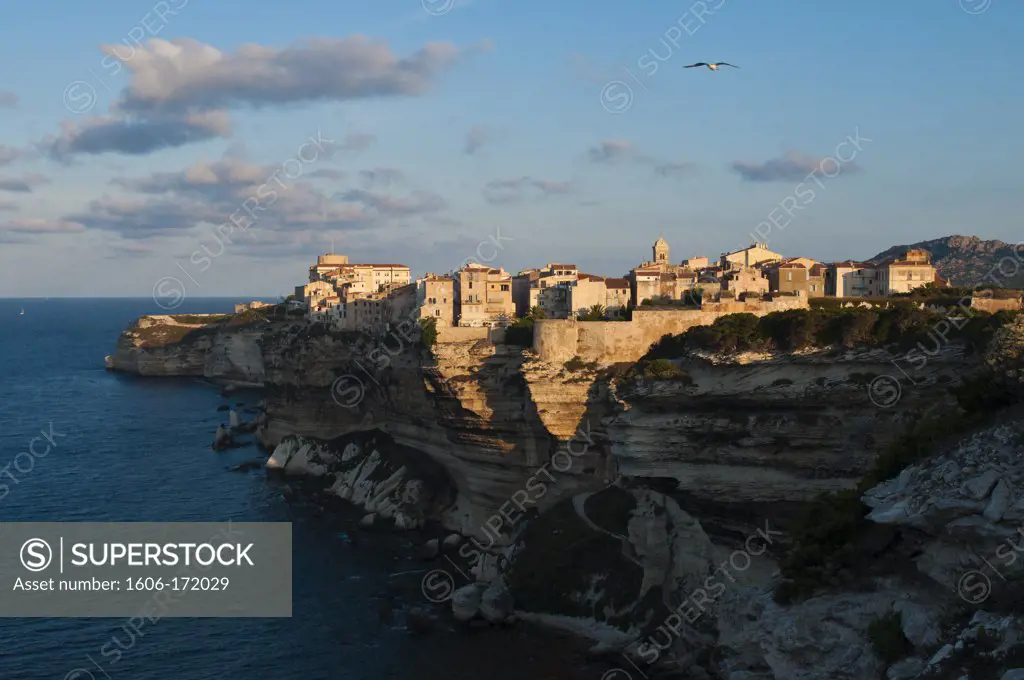 France, Corsica, South Corsica (2A), Bonifacio, the citadel looking towards the Mediterranee