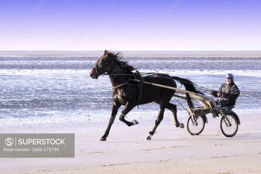 France, Normandie, Manche, Hauteville sur Mer, horse cart on the beach