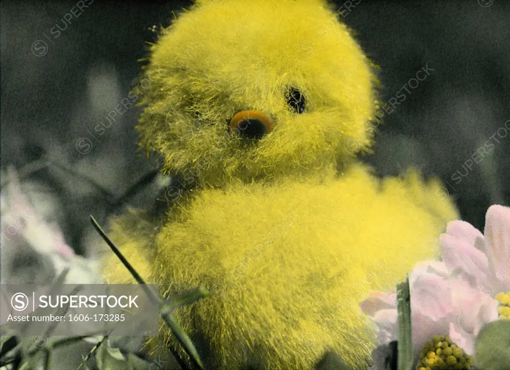 Painted photograph of chick toy on photographic barite paper