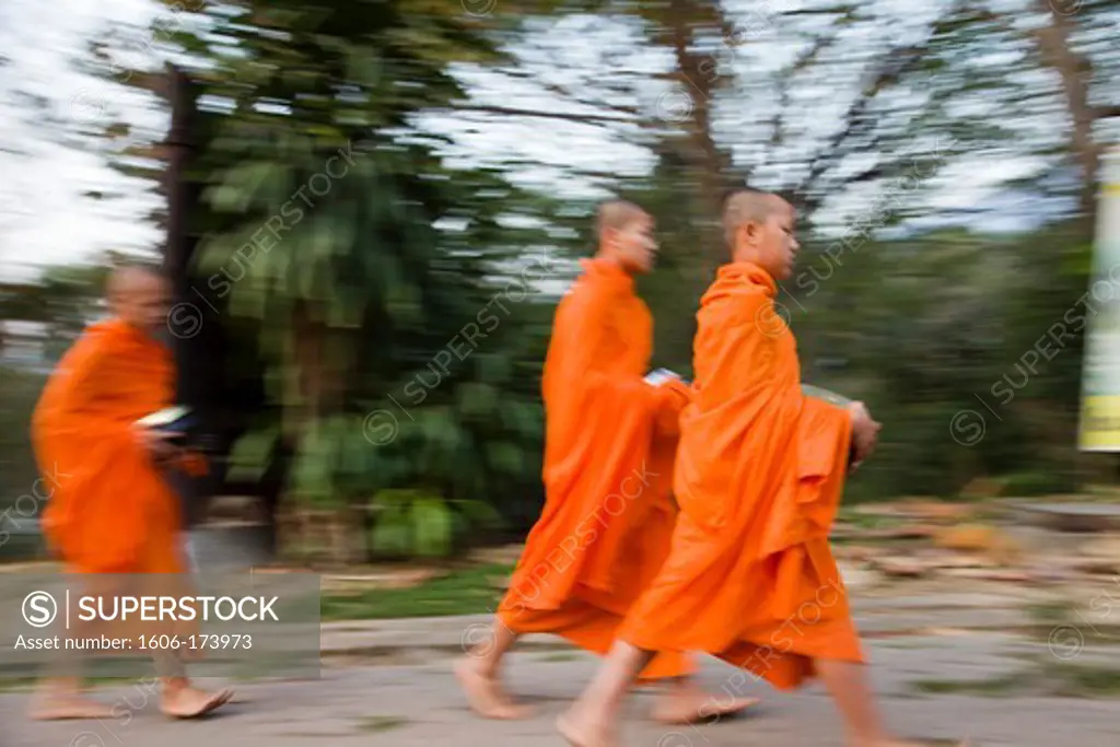 Thailand,Chiang Mai,Monks Holding Alms Bowl