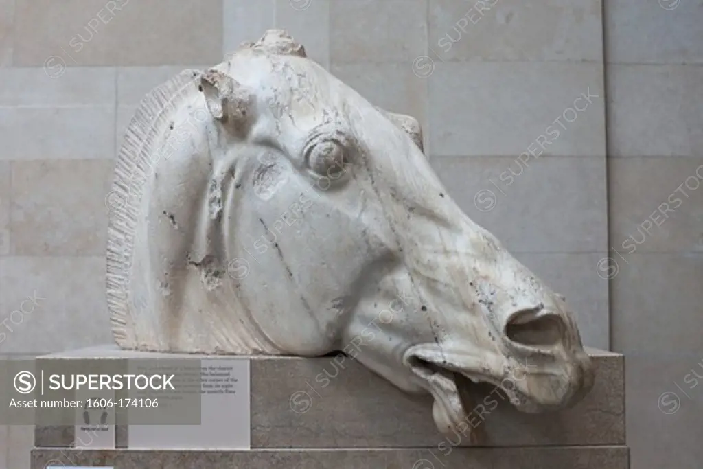 England,London,British Museum,Elgin Marbles from the Parthenon in Athens showing Head of the Horse of Selene 4th century BC
