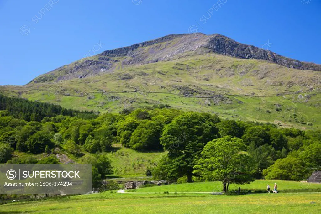 Wales,Gwynedd,Snowdonia National Park, Field and Mountain View at Beddgelert