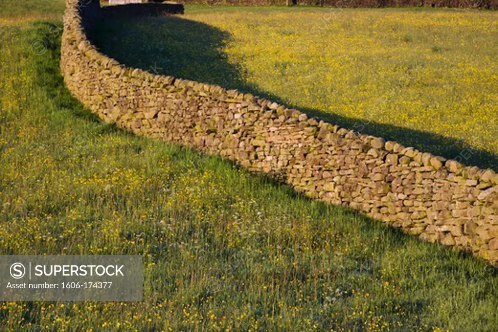 England,Yorkshire,Yorkshire Dales,Stone Wall in Swaledale