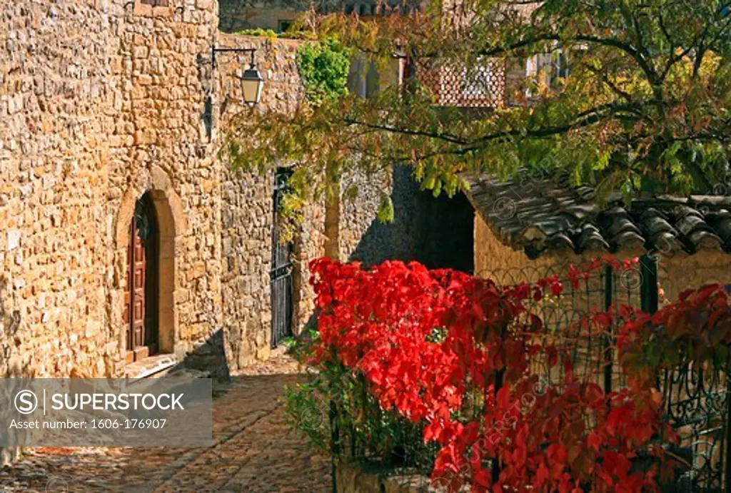 France, Gard (30), La Roque sur Cèze, labeled The Most Beautiful Villages of France, a picturesque alley, white stone houses, vegetation autumn,