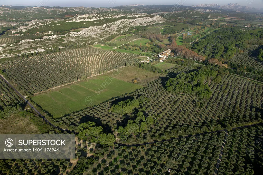 France, Bouches du Rhone (13), the Alpilles, Les Baux de Provence valley, covered with plantations of olive trees (Olea europaea), (aerial view)