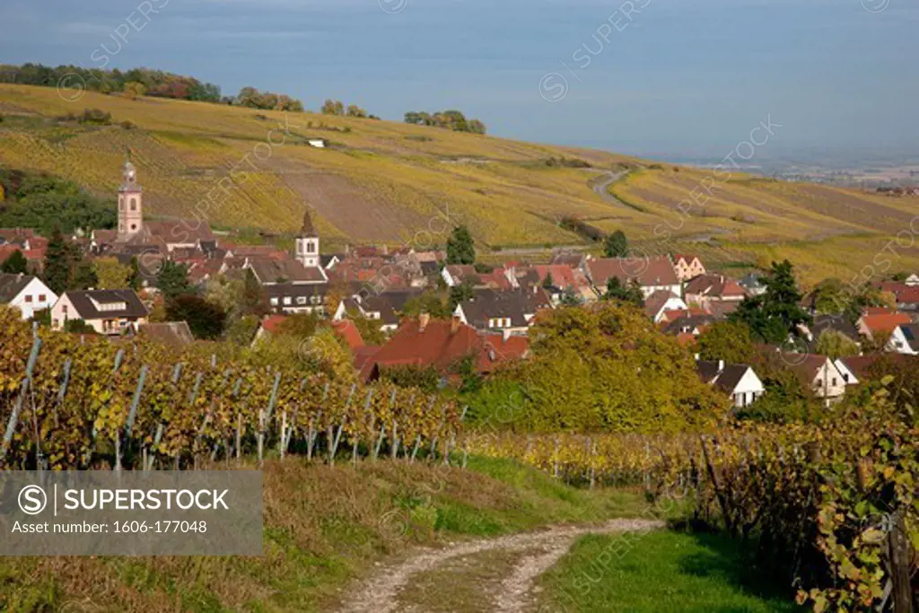 France, Haut-Rhin (68), Riquewihr, picturesque village of Alsace, labeled The Most Beautiful Villages of France, located on the Wine Route of Alsace, in the autumn landscape, (aerial view)