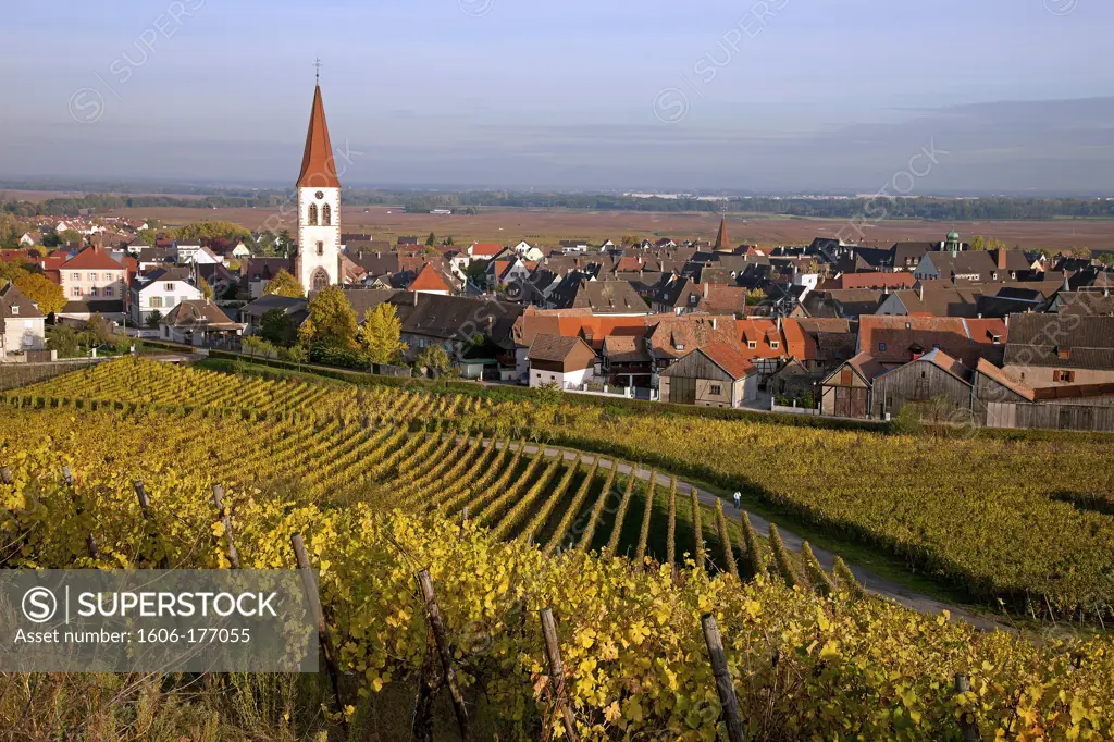 France, Haut-Rhin (68), Ammerschwihr, picturesque village, situated on the Alsace wine route, view from the vineyard in autumn