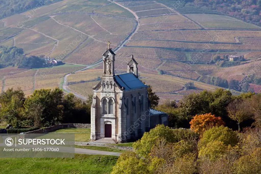 France, Rhone (69), Mont Brouilly, grands crus vineyards of Beaujolais, the Notre Dame de Brouilly, (aerial view)