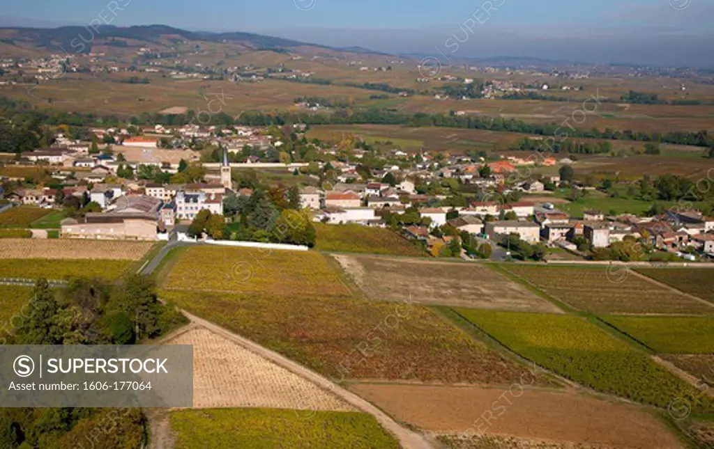 France, Rhone (69), Lancie, village appellation wines, Beaujolais-villages, the vineyards in autumn, (aerial view)