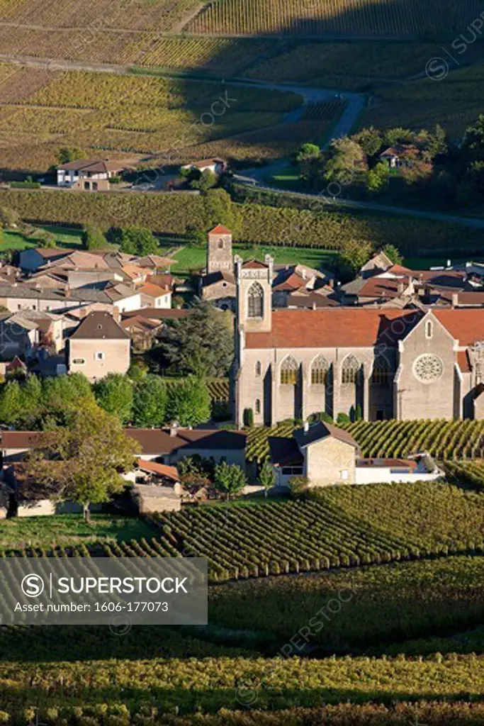 France, Saone-et-Loire (71), Fuisse, village vineyards of the Mconnais, Pouilly Fuisse AOC Burgundy, its vineyards in the village