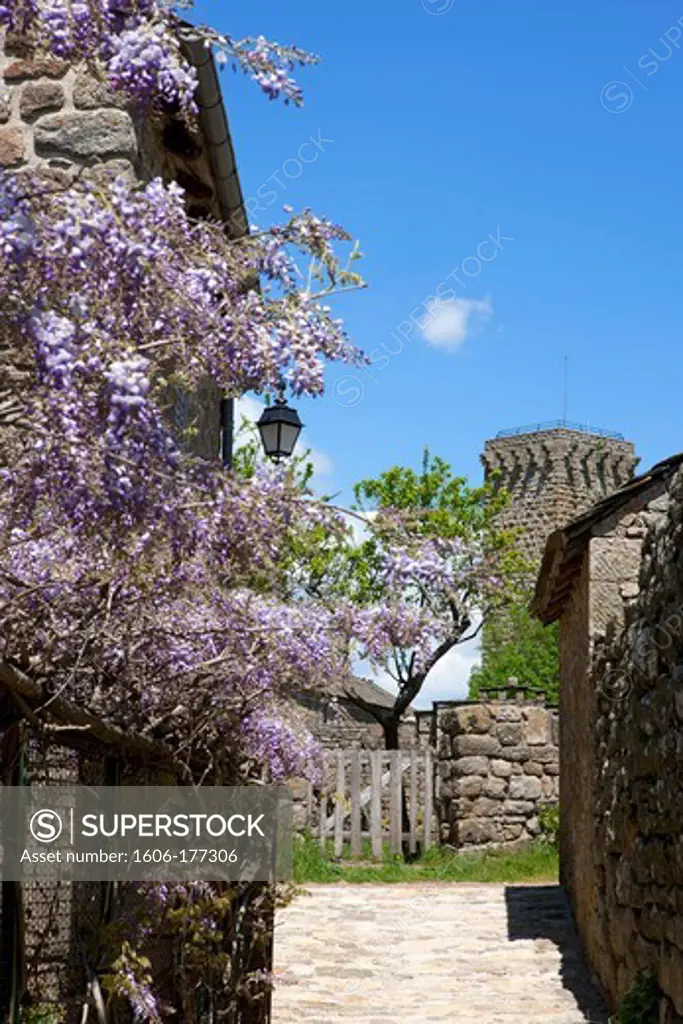 France, Lozère (48), La Garde Guerin, fortified village, labeled The Most Beautiful Villages of France, twelfth century medieval dungeon,