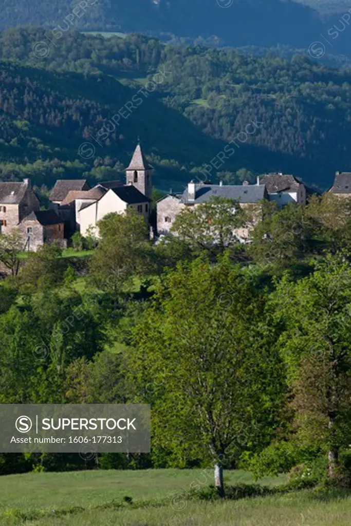 France, Lozère (48), Montjezieu, village of the Lot valley, castle of the thirteenth century landscape of Gevaudan