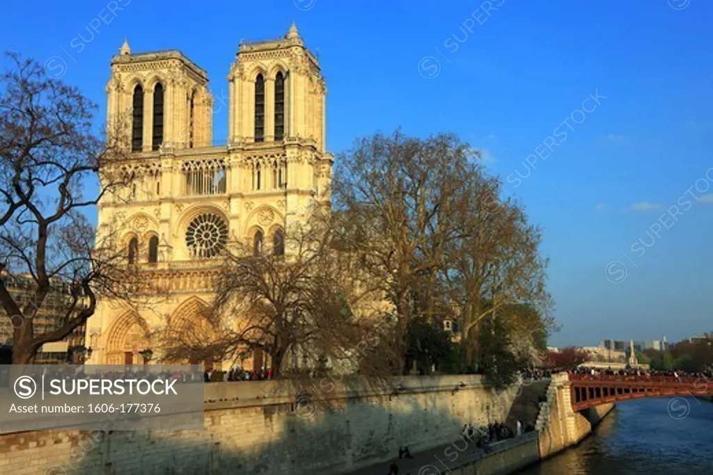 France, Paris (75), Notre-Dame de Paris cathedral of the twelfth century listed building, the facade west, from the quays of the Seine, Ile de la Cite,