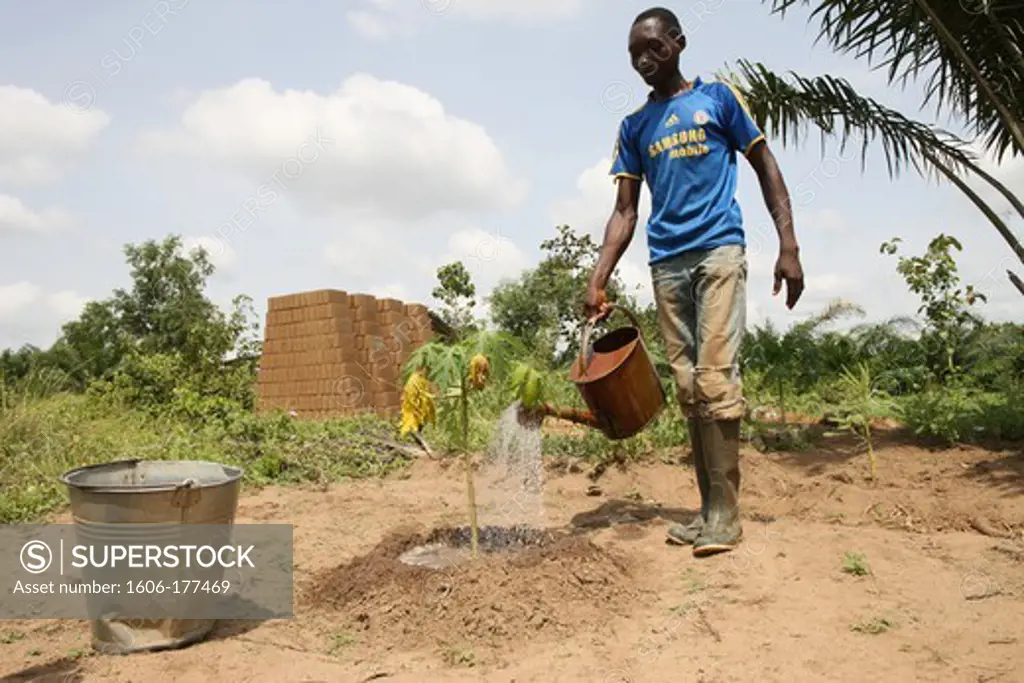 Man watering plants Tori. Benin.