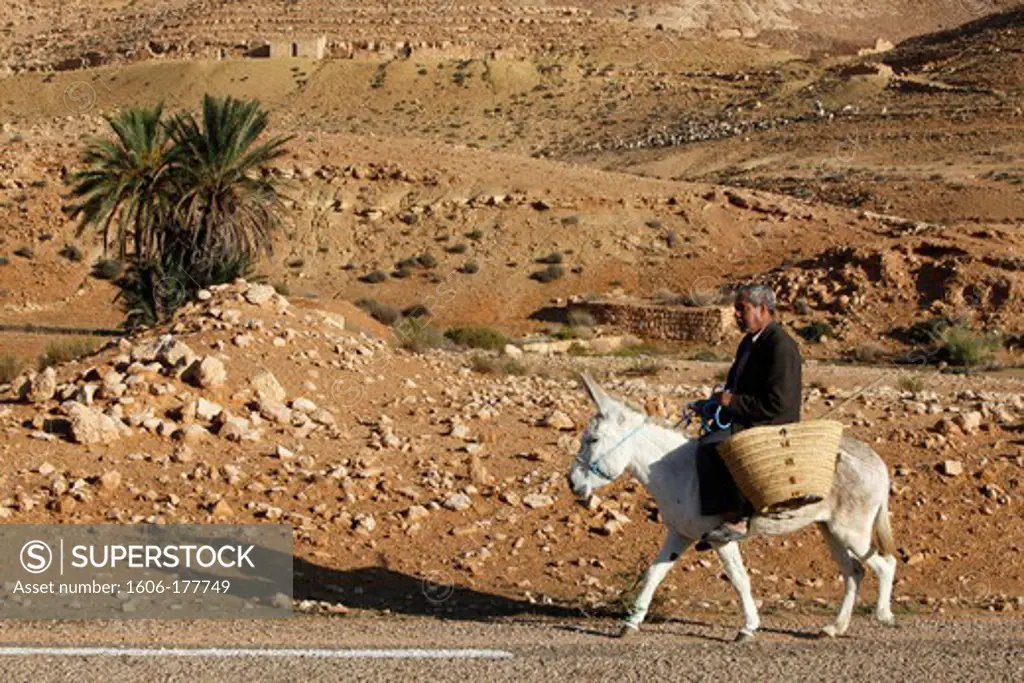 Man traveling on a donkey. Douirette. Tunisia.