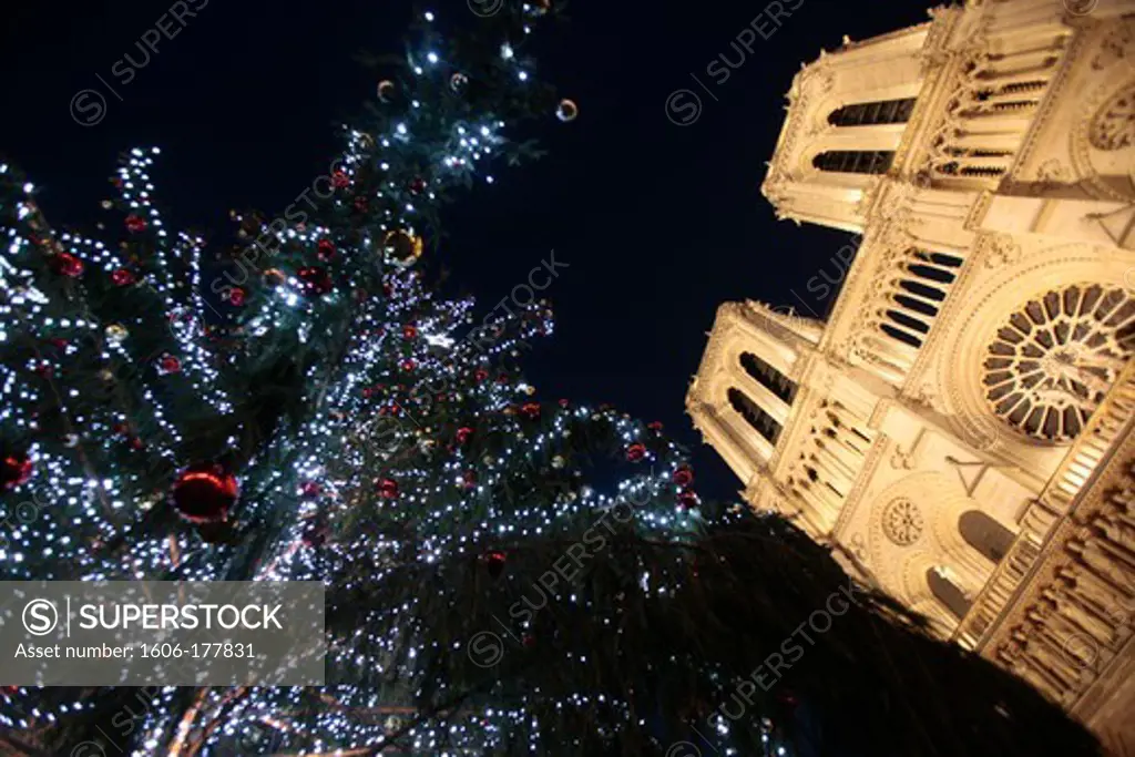 Notre-Dame de Paris cathedral. Christmas tree. Paris. France.