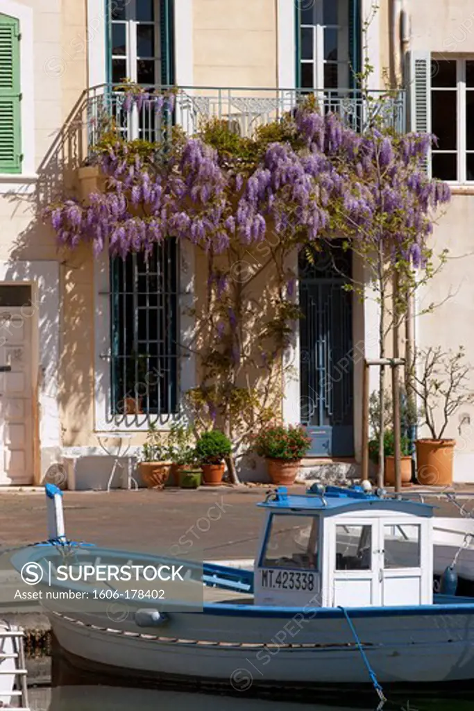 France, Bouches-du-Rhone (13), Martigues, Postern dock, balcony and glycine, a port city located on the banks of the Etang de Berre and Caronte channel, the Venice of Provence,