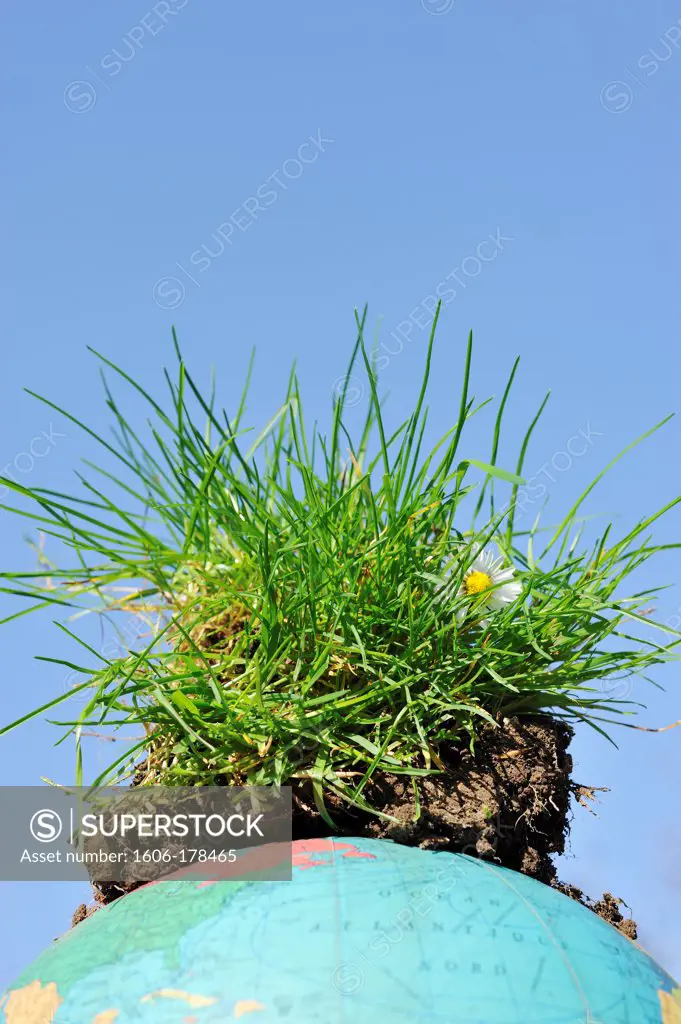 Grass tuft on a  world globe