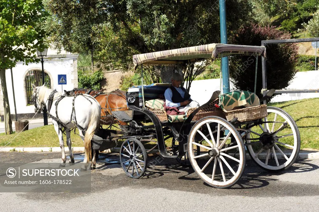 Horse carriage in Obidos,Portugal,South Europa,Europa