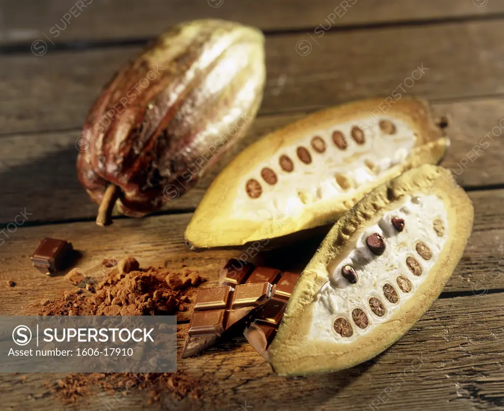 Close-up of cocoa pods and chocolate