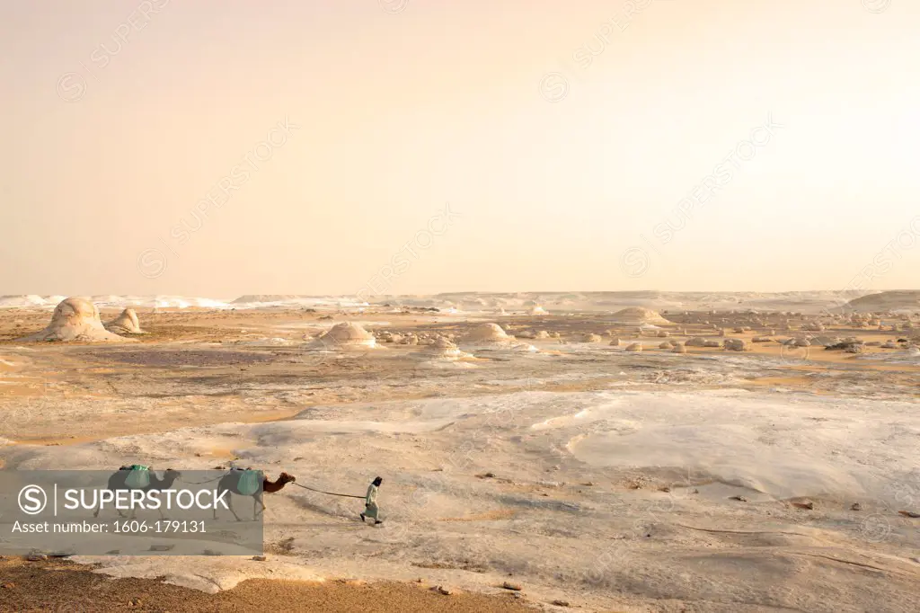 Egypt, Agabats Valley. man and camels walking in the desert