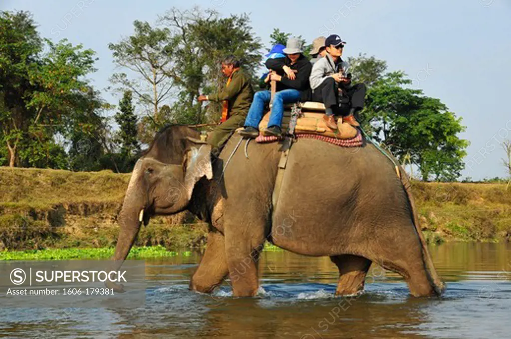 Nepal, Chitwan National Park, tourists having an elephant ride in the park