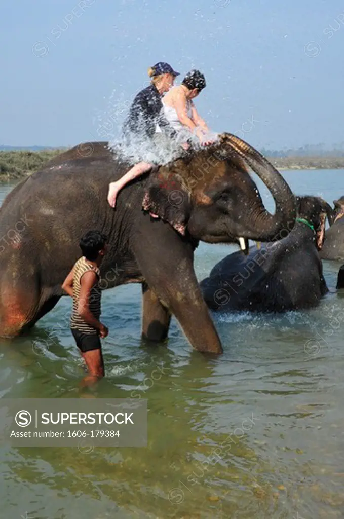 Nepal, Chitwan National Park, tourists having fun on elephants 'backs in the river