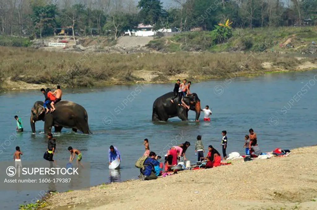 Nepal, Chitwan National Park, tourists having fun on elephants' backs in the river
