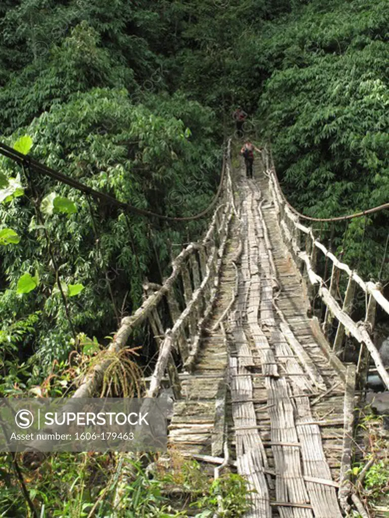 Burma,Myanmar, Putao area, a very old bamboo bridge - SuperStock