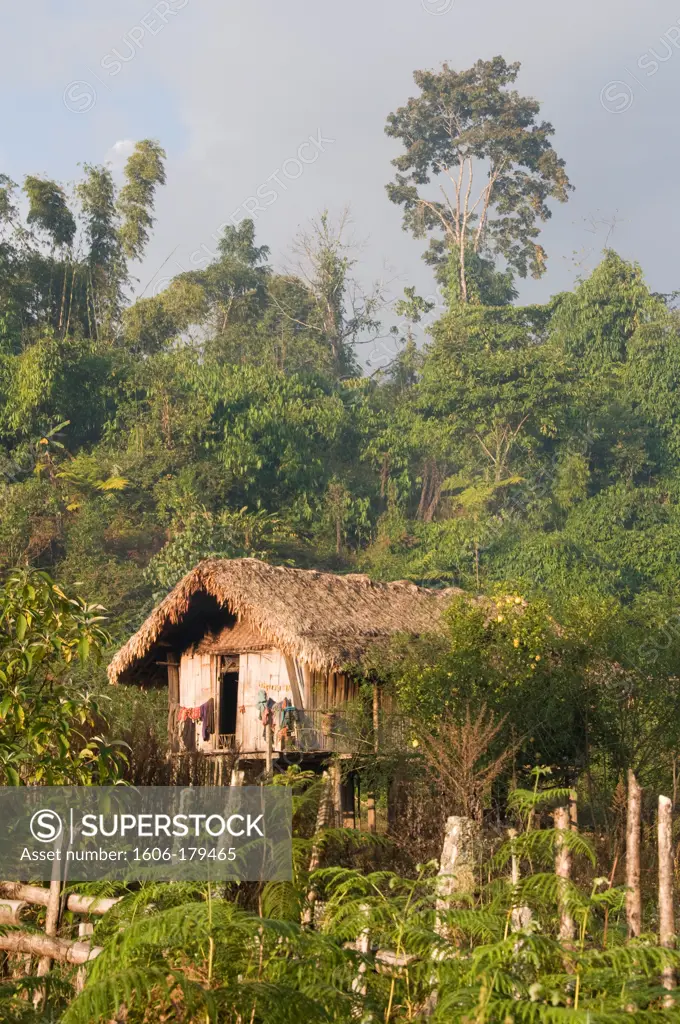 Burma,Myanmar, Putao, traditional bamboo hut