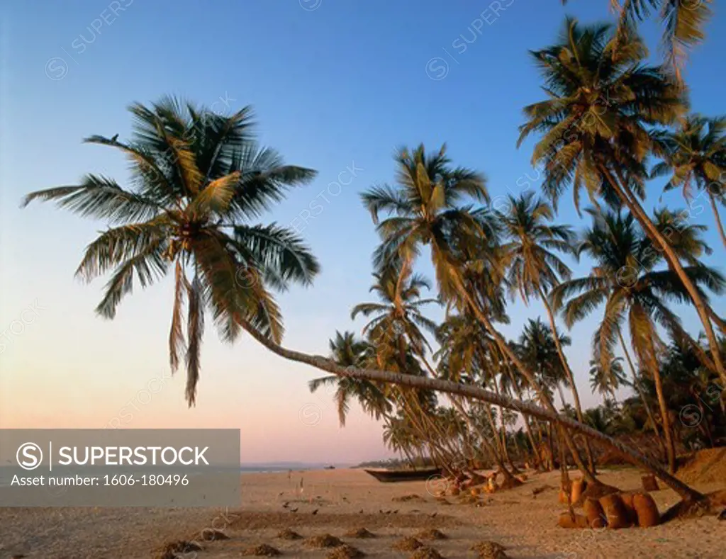 India Goa Colva beach