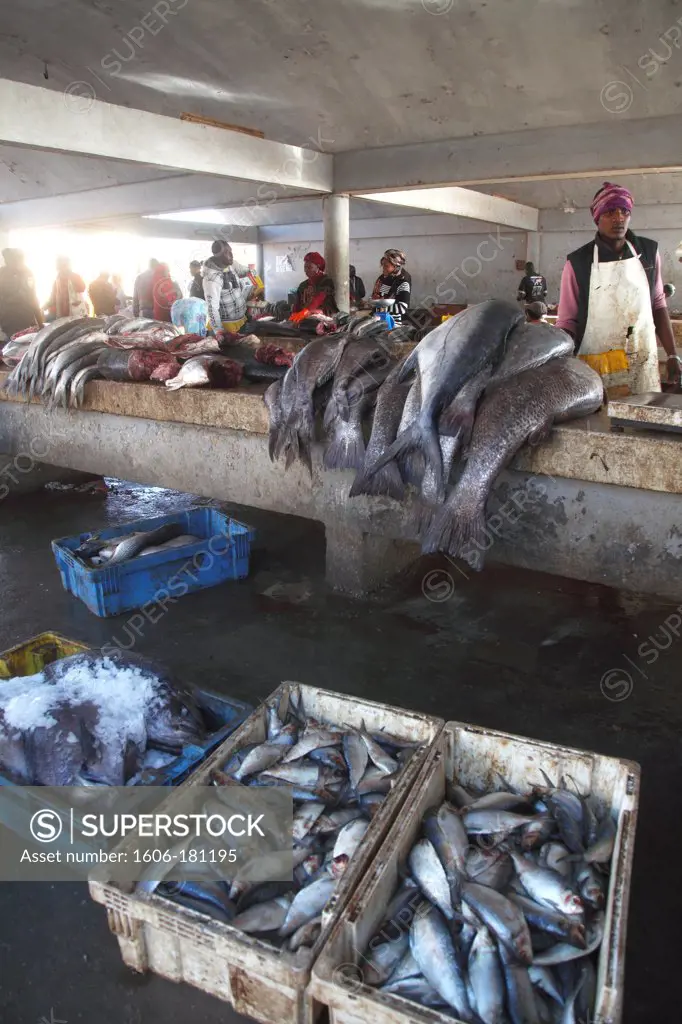 Africa (west africa), Mauritania, Nouakchott, fishermen beach, fish market
