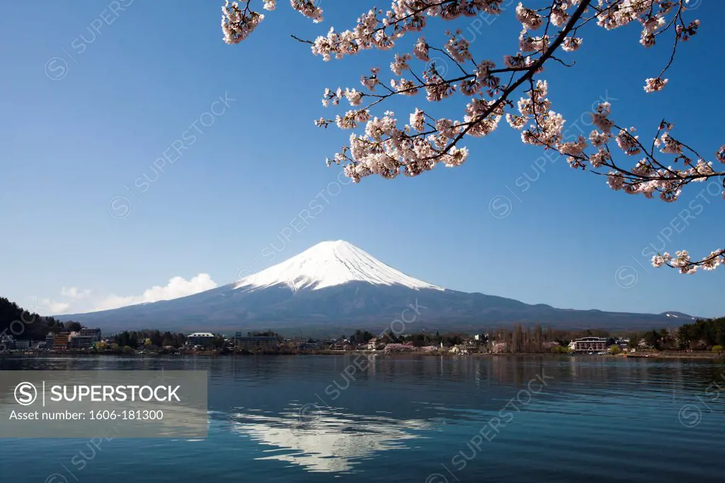 Japan, Cherry blossoms, Yamaguchi lake and Mount Fuji