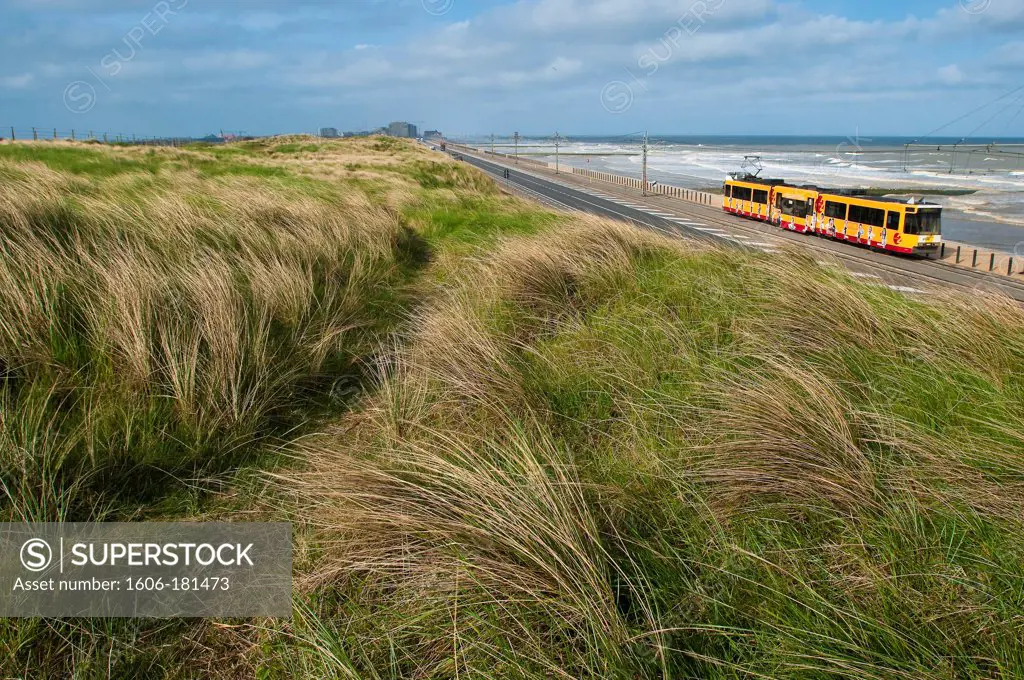 Europe, Belgium, North Sea, Western Flanders, Middelkerke, vue from dunes of ""Raversijde"" field, the open air museum Atlantikwall shelters bunkers, cannons and trenches from the two world wars, the train De Lijn going along the littoral between De Panne a