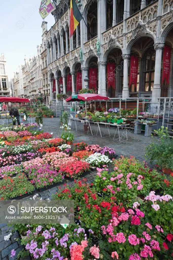 Belgium,Brussels,Grand Place,Flower Market