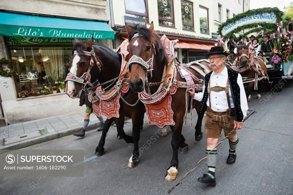Germany,Baveria,Munich,Oktoberfest,Horse Dressed in Festival Livery