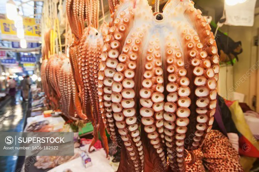 Korea,Gyeongju,Gyeongju Market,Octopuses