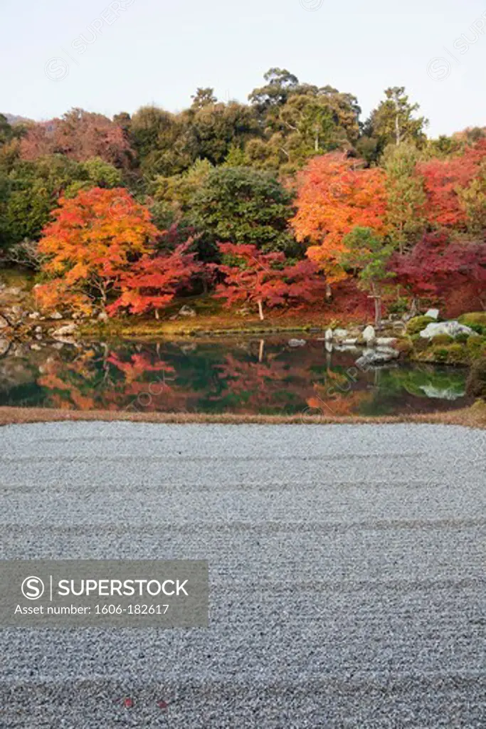 Japan,Kyoto,Arashiyama,Tenryuji Temple,Autumn Leaves in the Landscape Garden