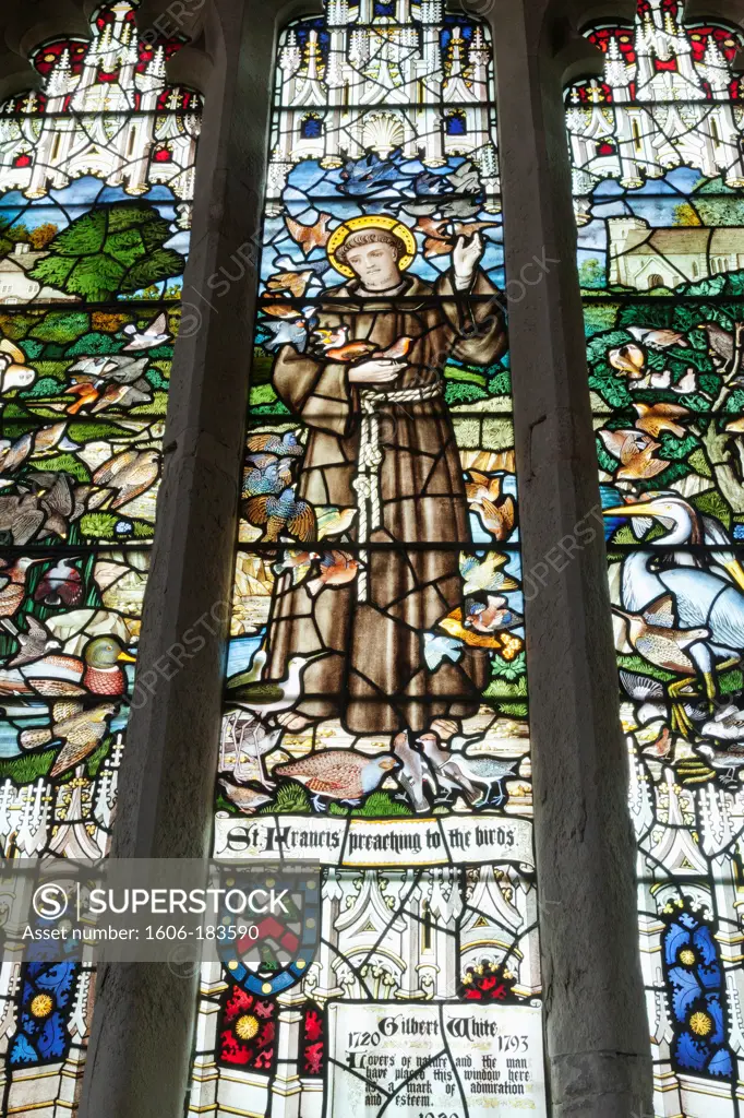 England,Hampshire,Selborne,St.Mary The Virgin Church,Stained Glass Window dedicated Gilbert White depicting St.Francis Preaching to the Birds