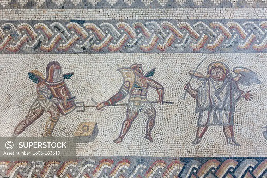 England,West Sussex,Bignor,Bignor Roman Villa,The Venus Room,Mosaic depicting Gladiators