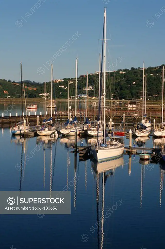 South Africa, Western Cape, Knysna, lagoon, waterfront,