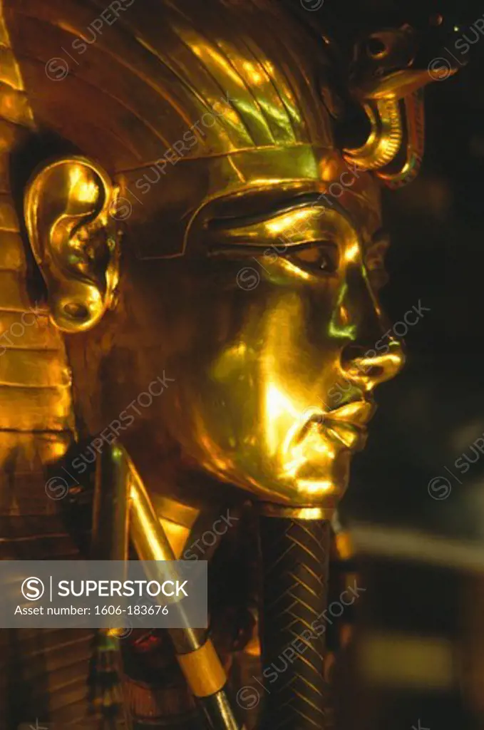 Egypt, Cairo, Egyptian Museum, Tutankhamun's sarcophagus,