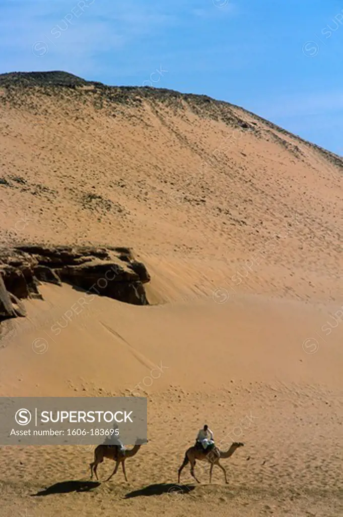 Egypt, Aswan, Western Desert, camel riders,