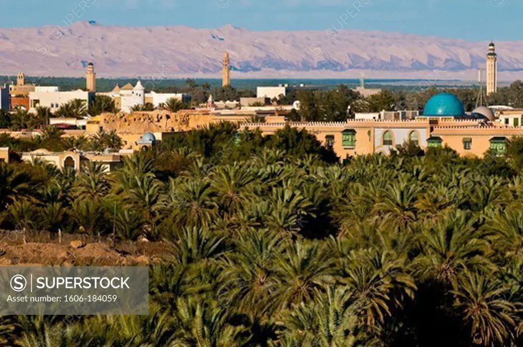 North Africa, Tunisia, Tozeur province, Tozeur, Tozeur Panoramic viewpoint, view on the oasis