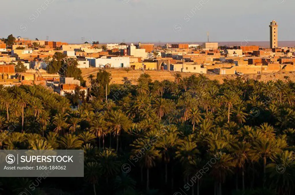 North Africa, Tunisia, Tozeur province, Mountain oasis, Nefta, the Nefta basket