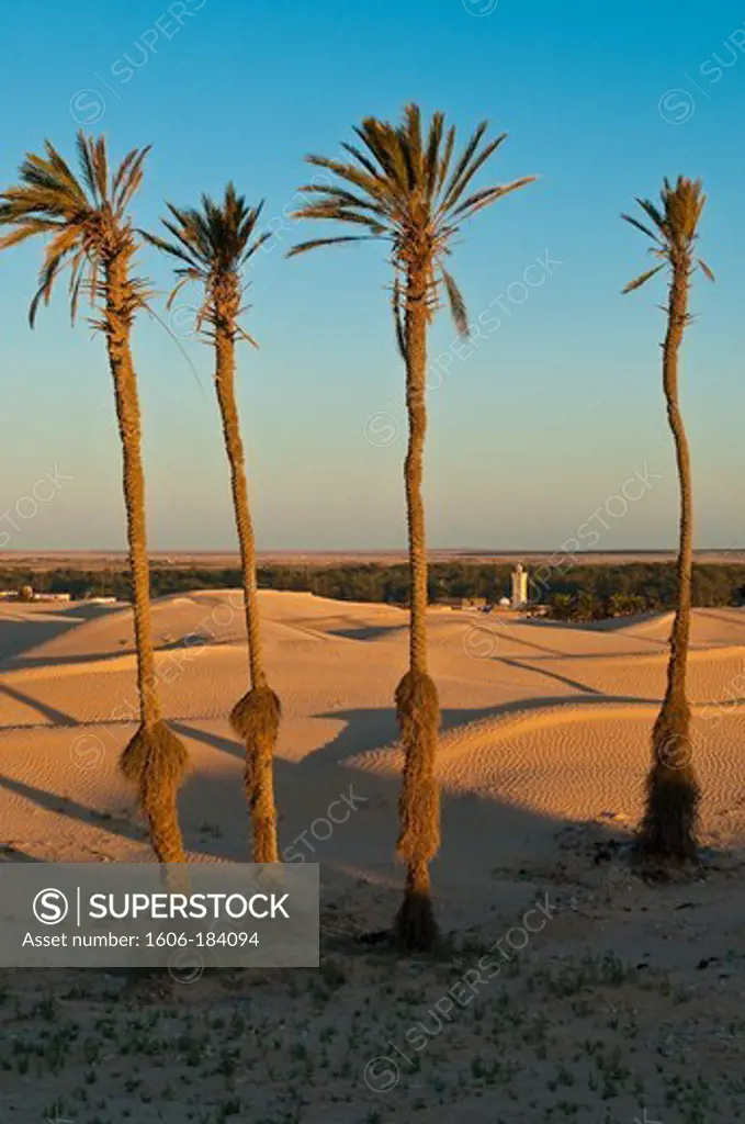 North Africa, Tunisia, Kebili province, the village of Zaafrane stuck in the sand