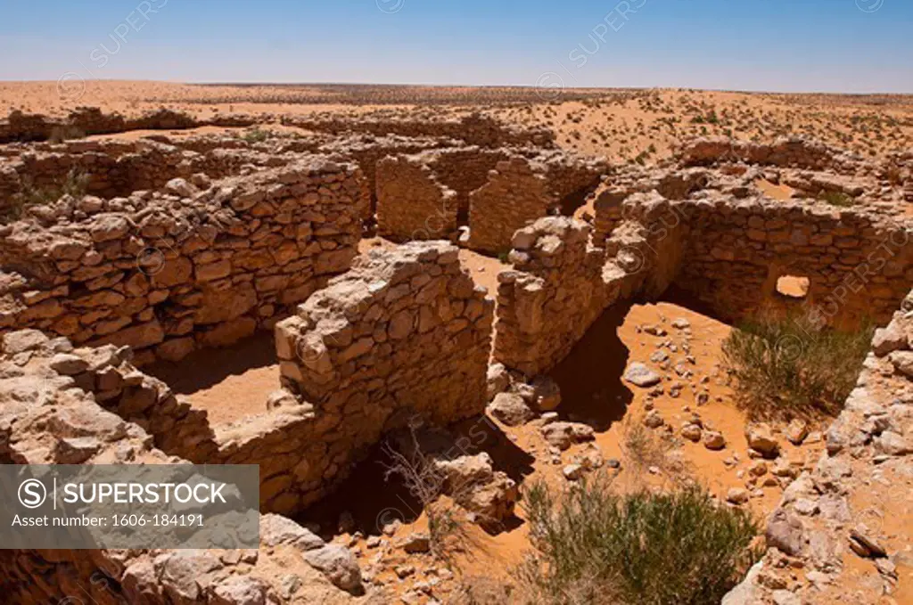 North Africa, Tunisia, Kebili province, East Great Erg, the Ksar Ghilane was before the roman fort of Tisavar