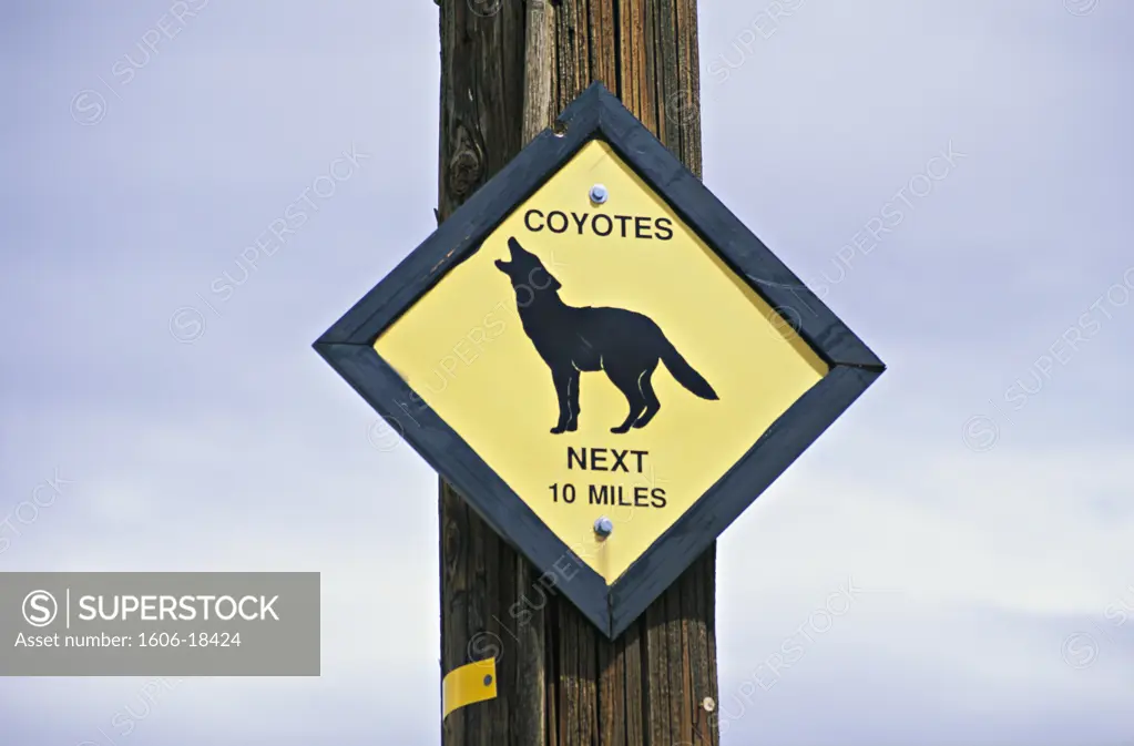 USAS, California, close-up of coyote crossing sign