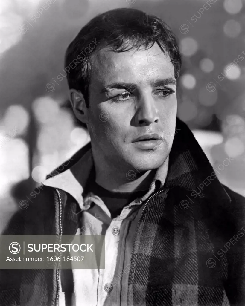 Marlon Brando , On the Waterfront , 1954 directed by Elia Kazan  (Columbia Pictures)
